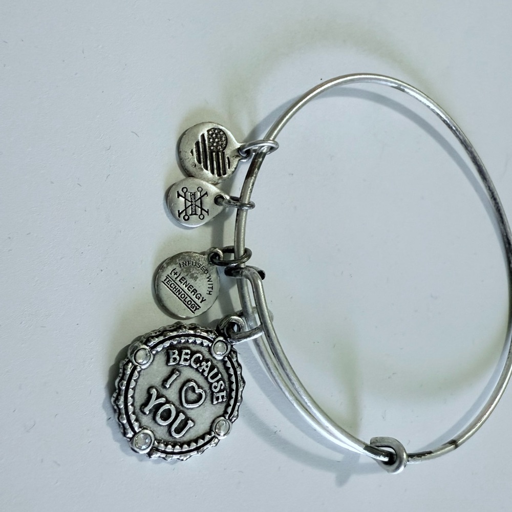 Alex and Ani Silver Charm Bracelet with Heart Pendants